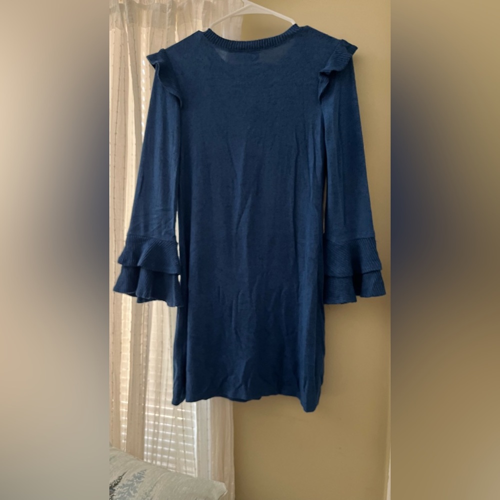 Blue Bell Sleeve Dress